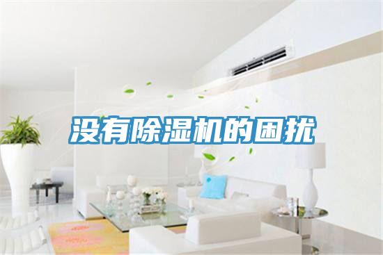 沒有91看片软件大全的困擾