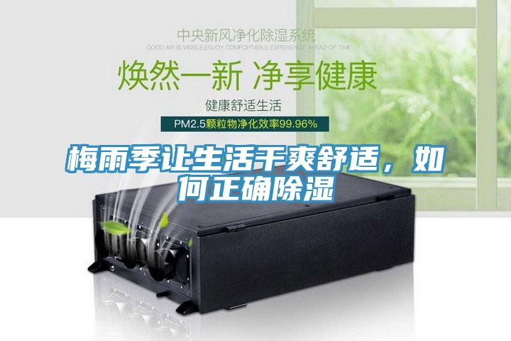 梅雨季讓生活幹爽舒適，如何正確除濕