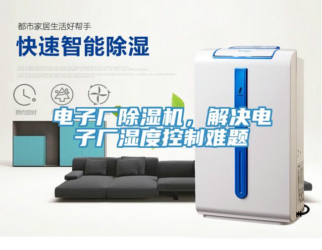 電子廠91看片软件大全，解決電子廠濕度控製難題