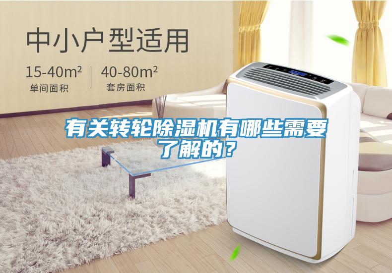 有關轉輪91看片软件大全有哪些需要了解的？
