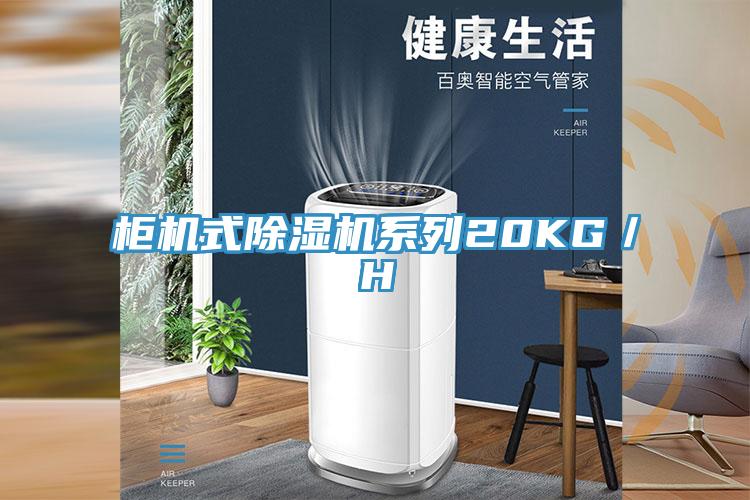 櫃機式91看片软件大全係列20KG／H