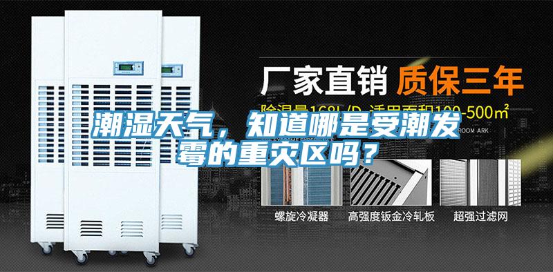 潮濕天氣，知道哪是受潮發黴的重災區嗎？
