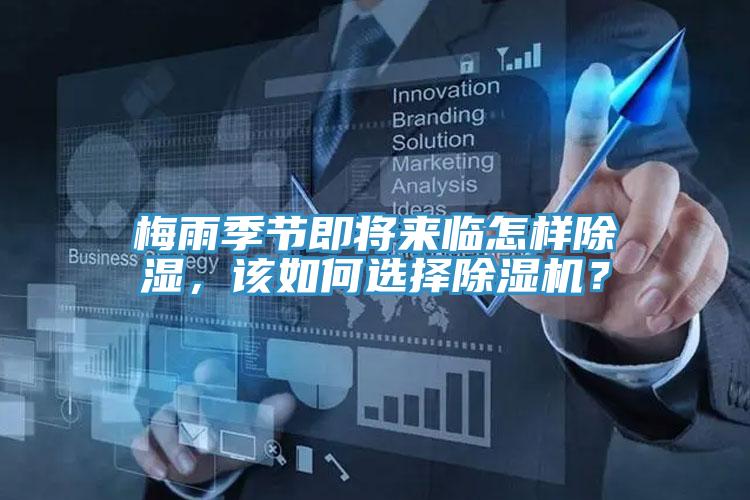 梅雨季節即將來臨怎樣除濕，該如何選擇91看片软件大全？