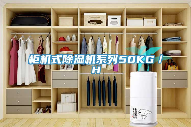 櫃機式91看片软件大全係列50KG／H