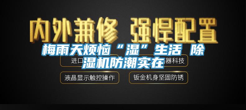 梅雨天煩惱“濕”生活 91看片软件大全防潮實在