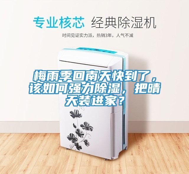 梅雨季回南天快到了，該如何強力除濕，把晴天裝進家？
