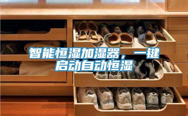 智能恒濕加濕器，一鍵啟動自動恒濕