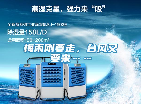 梅雨剛要走，台風又要來……