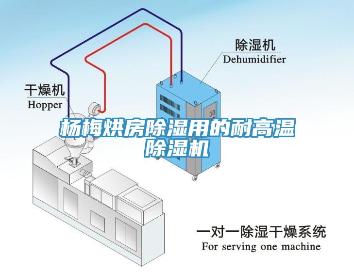 楊梅烘房除濕用的耐高溫91看片软件大全