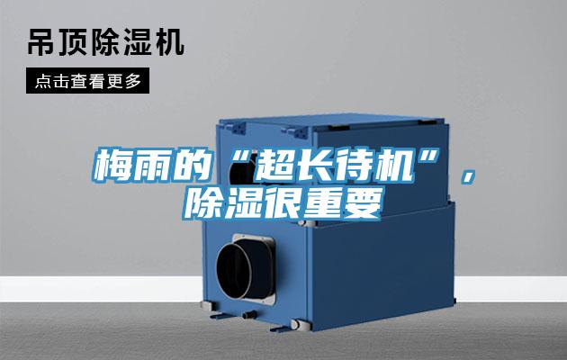 梅雨的“超長待機”，除濕很重要