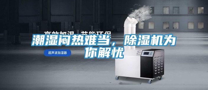 潮濕悶熱難當，91看片软件大全為你解憂