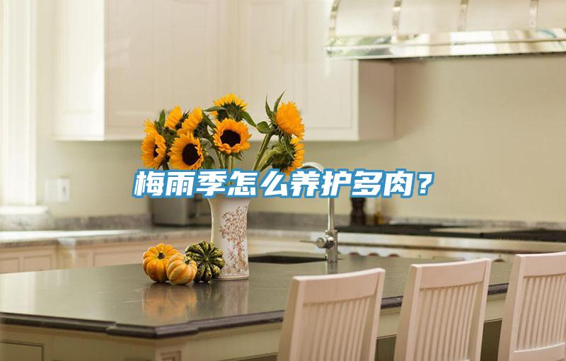 梅雨季怎麽養護多肉？