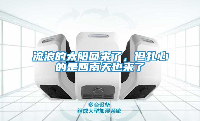 流浪的太陽回來了，但紮心的是回南天也來了