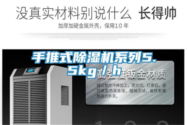 手推式91看片软件大全係列5.5kg／h