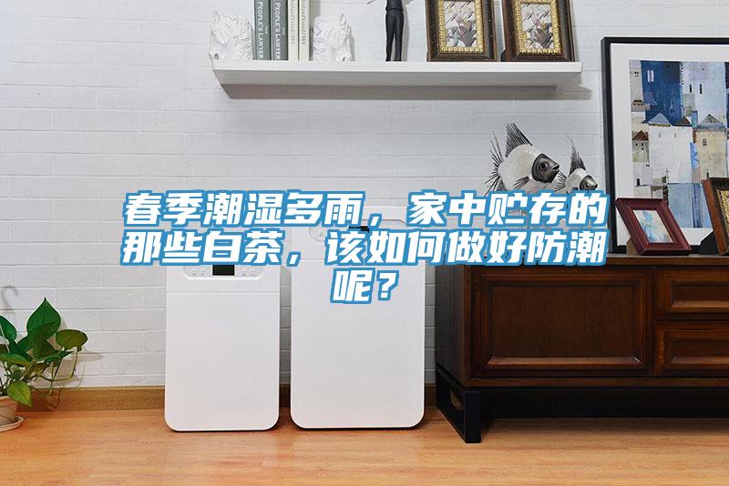 春季潮濕多雨，家中貯存的那些白茶，該如何做好防潮呢？