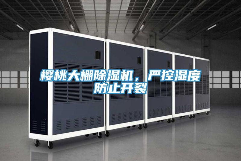 櫻桃大棚91看片软件大全，嚴控濕度防止開裂