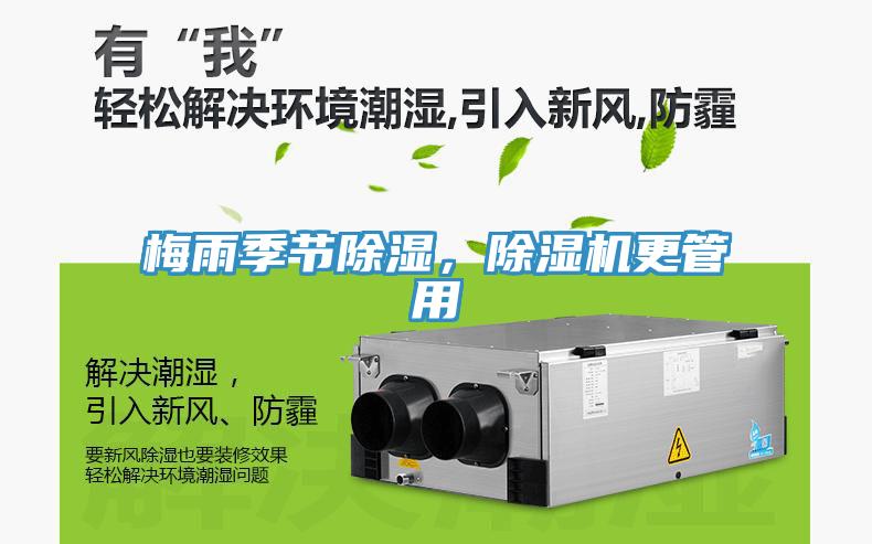 梅雨季節除濕，91看片软件大全更管用