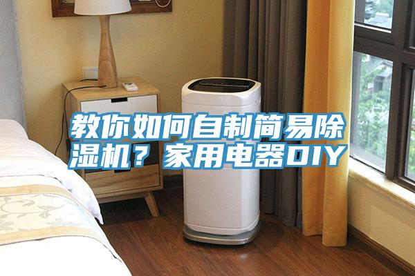 教你如何自製簡易91看片软件大全？家用電器DIY
