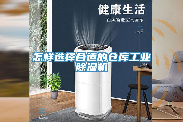 怎樣選擇合適的倉庫工業91看片软件大全