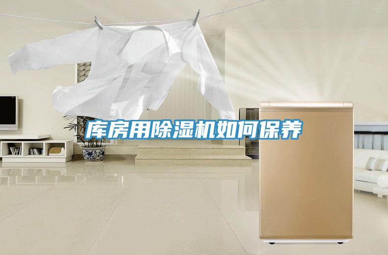 庫房用91看片软件大全如何保養