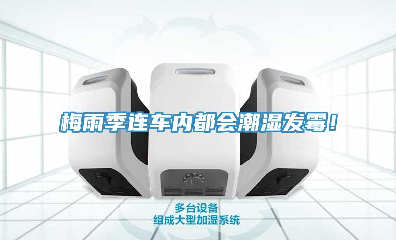梅雨季連車內都會潮濕發黴！