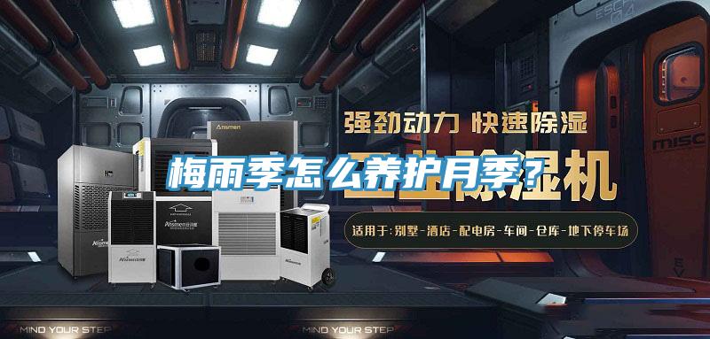 梅雨季怎麽養護月季？