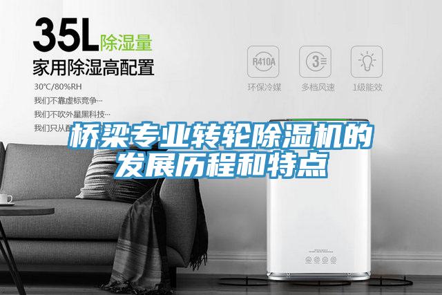 橋梁專業轉輪91看片软件大全的發展曆程和特點