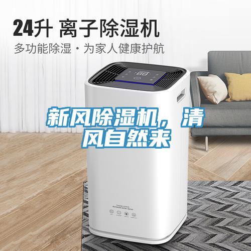 新風91看片软件大全，清風自然來