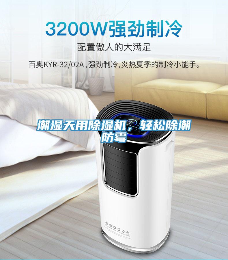 潮濕天用91看片软件大全，輕鬆除潮防黴