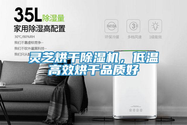 靈芝烘幹91看片软件大全，低溫高效烘幹品質好