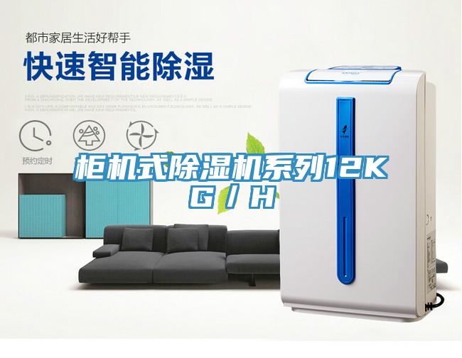 櫃機式91看片软件大全係列12KG／H