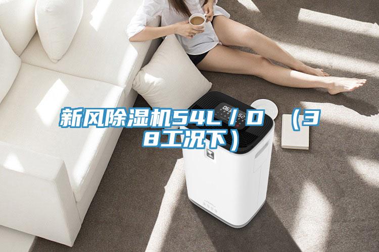 新風91看片软件大全54L／D （38工況下）