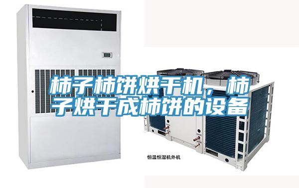 柿子柿餅烘幹機，柿子烘幹成柿餅的設備