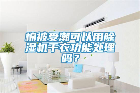 棉被受潮可以用91看片软件大全幹衣功能處理嗎？
