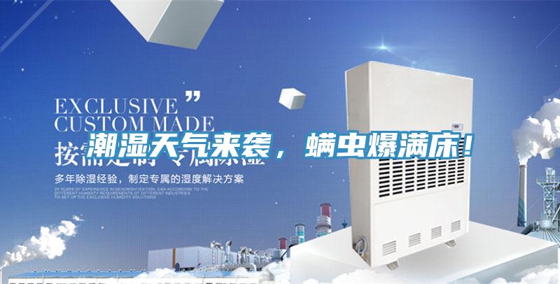 潮濕天氣來襲，蟎蟲爆滿床！