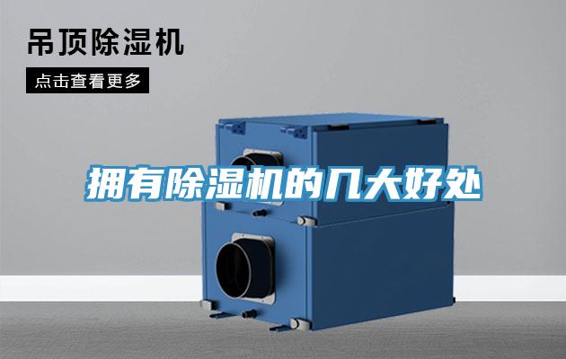 擁有91看片软件大全的幾大好處