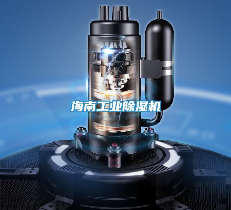 海南工業91看片软件大全