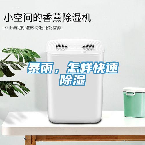 暴雨，怎樣快速除濕