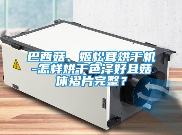巴西菇、姬鬆茸烘幹機-怎樣烘幹色澤好且菇體褶片完整？