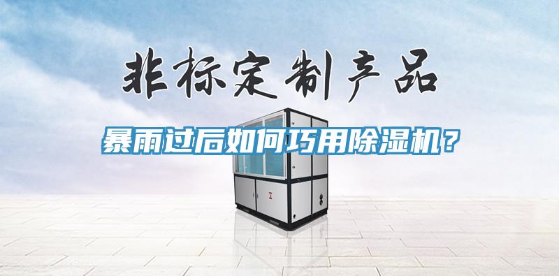 暴雨過後如何巧用91看片软件大全？
