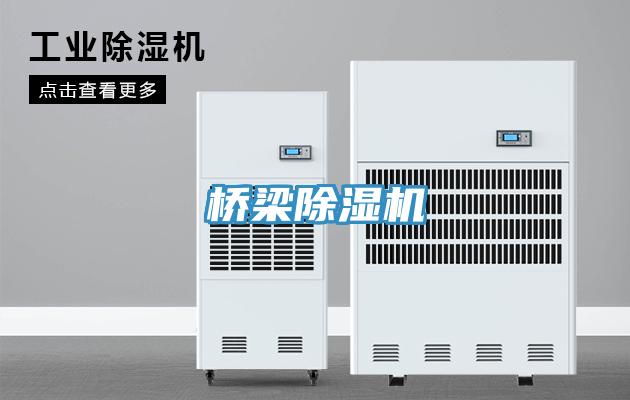 橋梁91看片软件大全