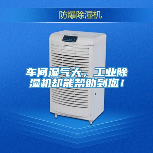 車間濕氣大，工業91看片软件大全卻能幫助到您！