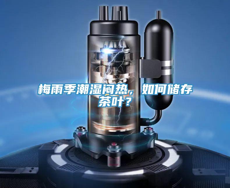 梅雨季潮濕悶熱，如何儲存茶葉？