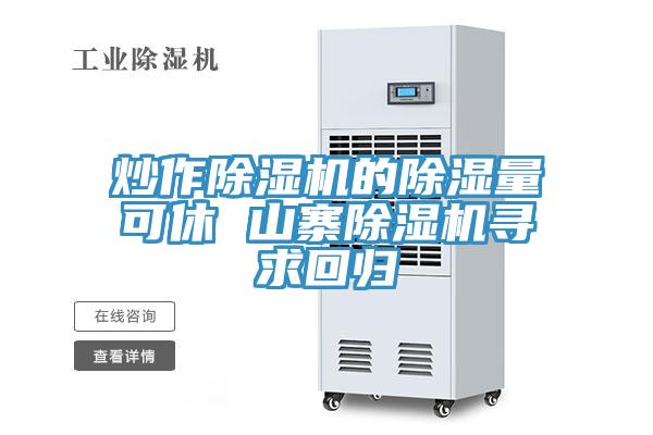 炒作91看片软件大全的除濕量可休 山寨91看片软件大全尋求回歸