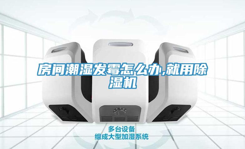 房間潮濕發黴怎麽辦,就用91看片软件大全