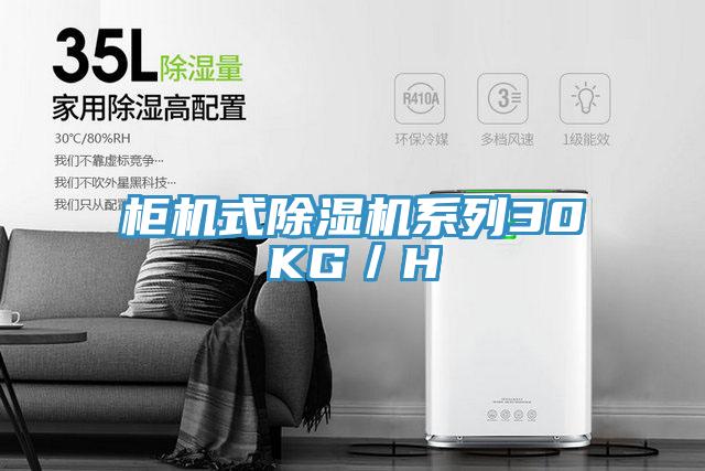 櫃機式91看片软件大全係列30KG／H