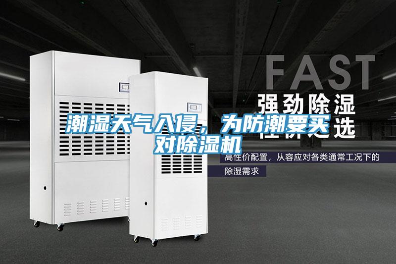 潮濕天氣入侵，為防潮要買對91看片软件大全