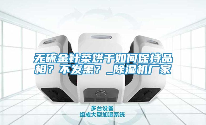 無硫金針菜烘幹如何保持品相？不發黑？_91看片软件大全廠家