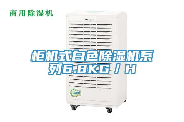 櫃機式白色91看片软件大全係列6.8KG／H