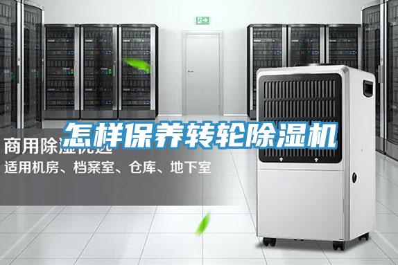 怎樣保養轉輪91看片软件大全